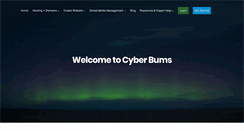 Desktop Screenshot of cyberbums.net